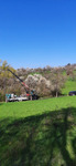 Schwarzwaldsprudel Mineralwassererkundung